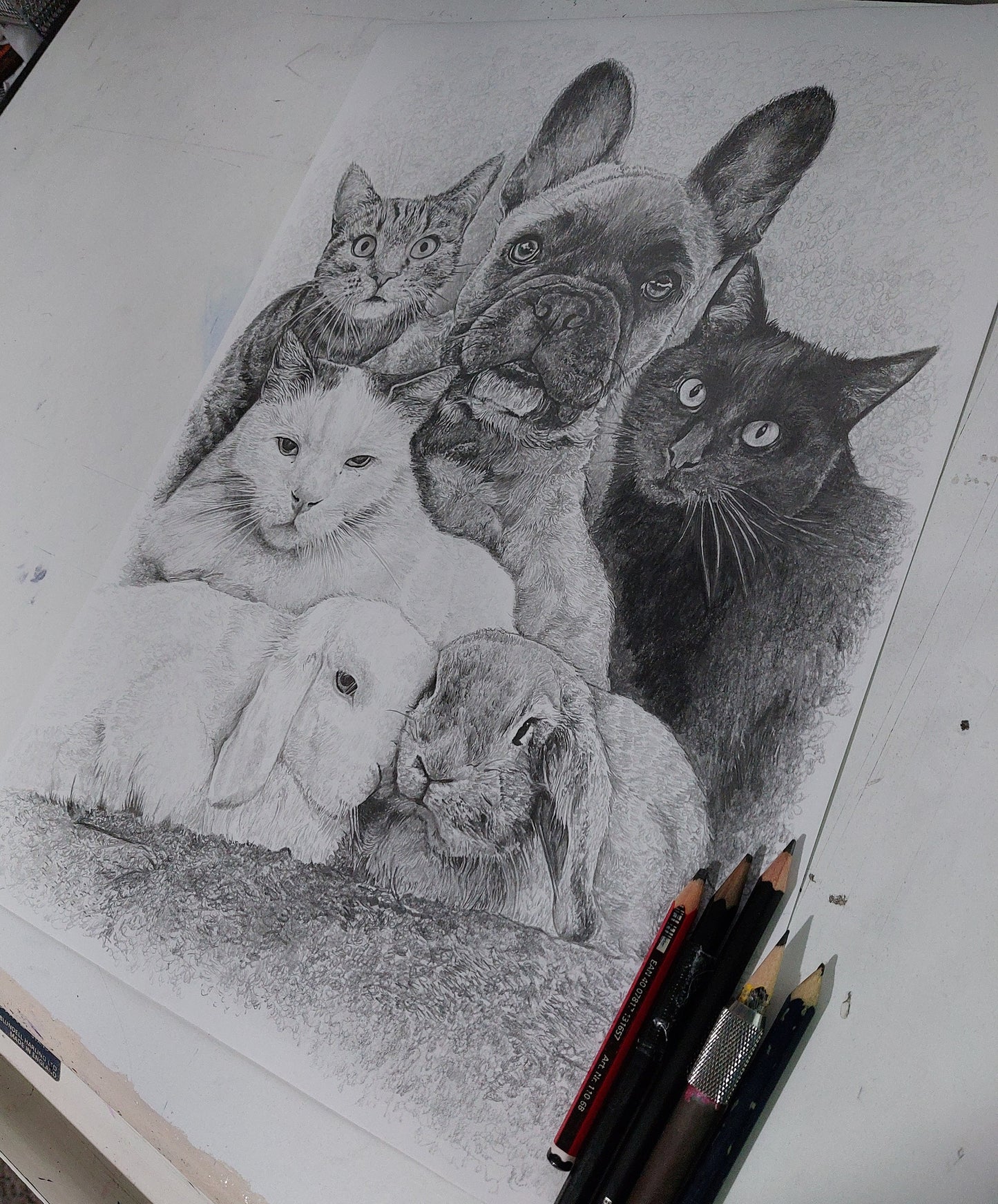 Custom Cat Pencil Sketch, Black & White Graphite Hand Drawing, Personalised Dog Sketch, Pet Memorial, Kitten Wall Art, Gift for Her Him