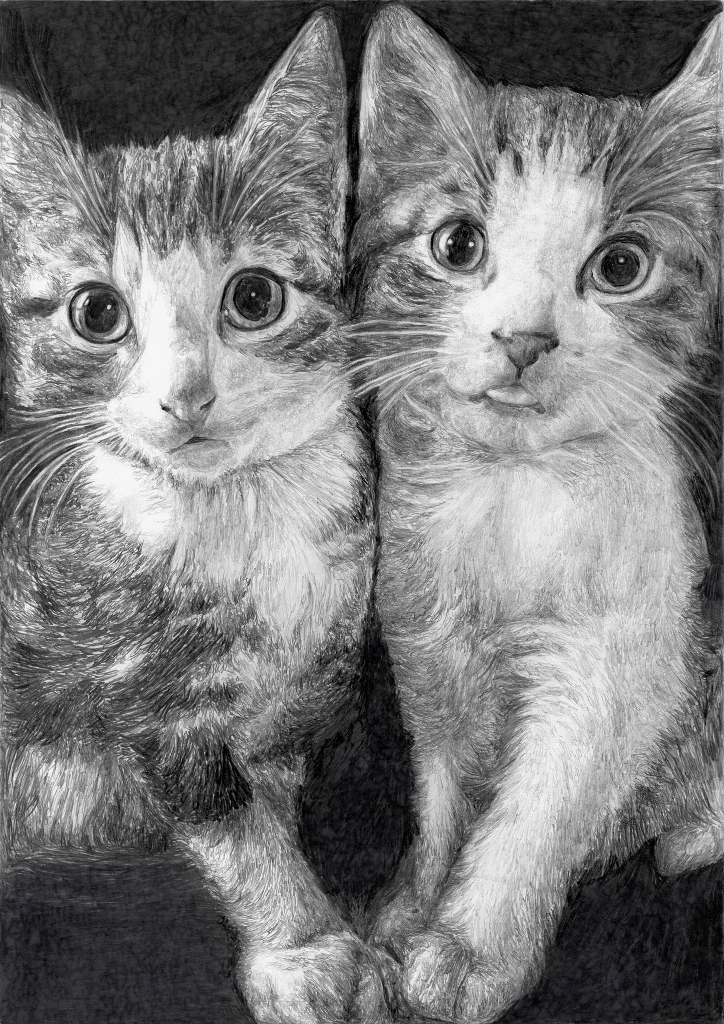 Custom Cat Pencil Sketch, Black & White Graphite Hand Drawing, Personalised Dog Sketch, Pet Memorial, Kitten Wall Art, Gift for Her Him