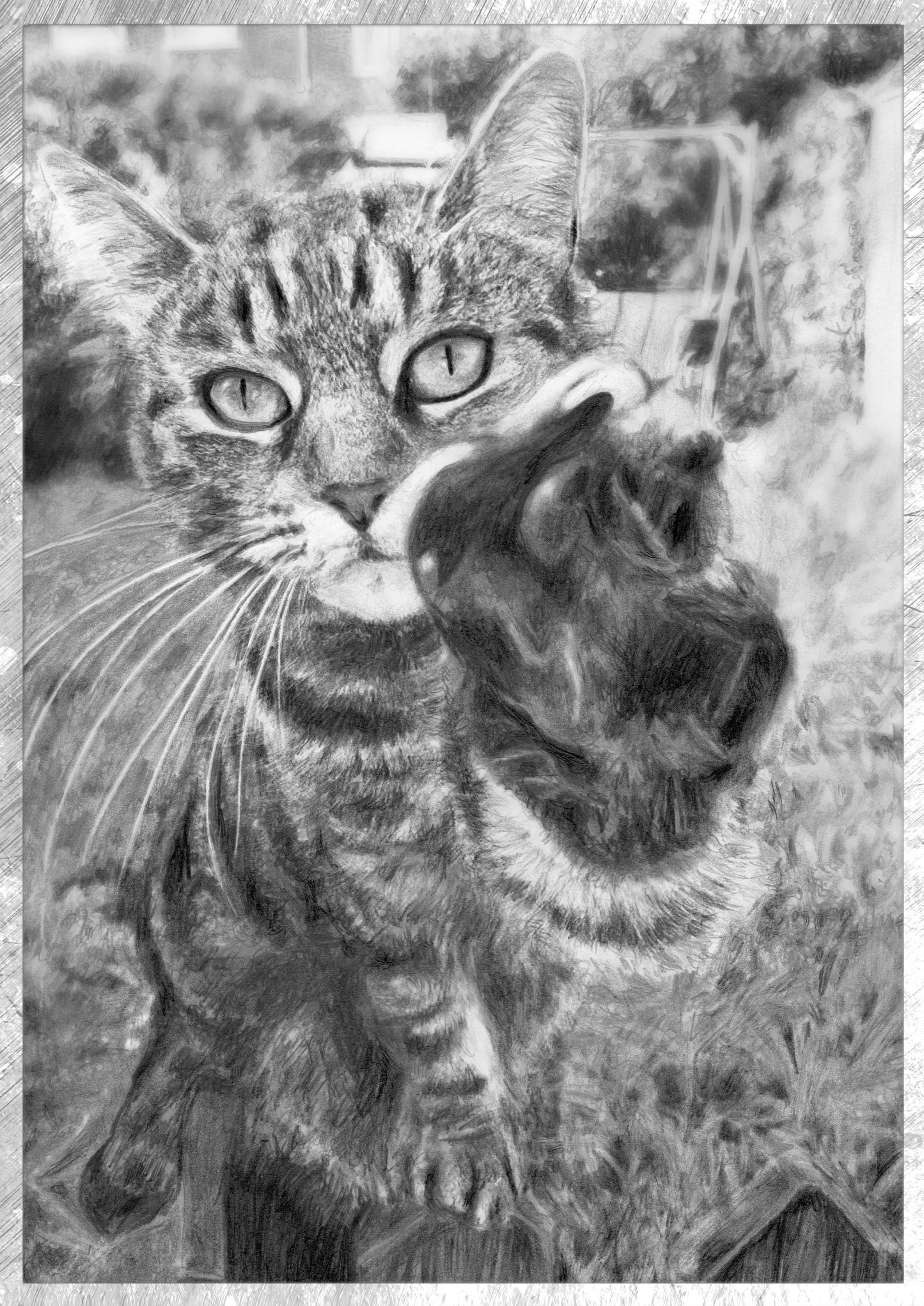 Custom Cat Pencil Sketch, Black & White Graphite Hand Drawing, Personalised Dog Sketch, Pet Memorial, Kitten Wall Art, Gift for Her Him