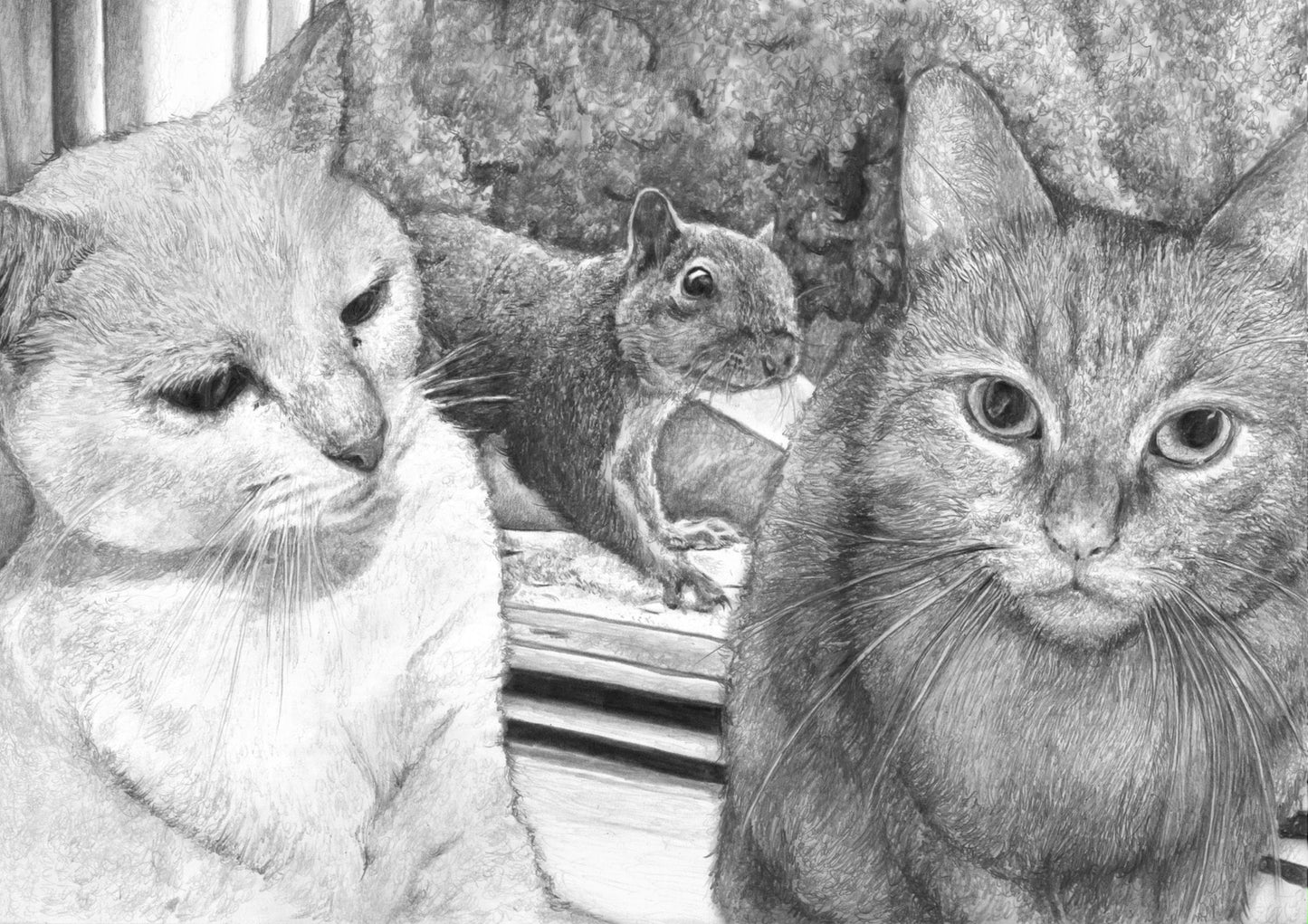 Custom Cat Pencil Sketch, Black & White Graphite Hand Drawing, Personalised Dog Sketch, Pet Memorial, Kitten Wall Art, Gift for Her Him