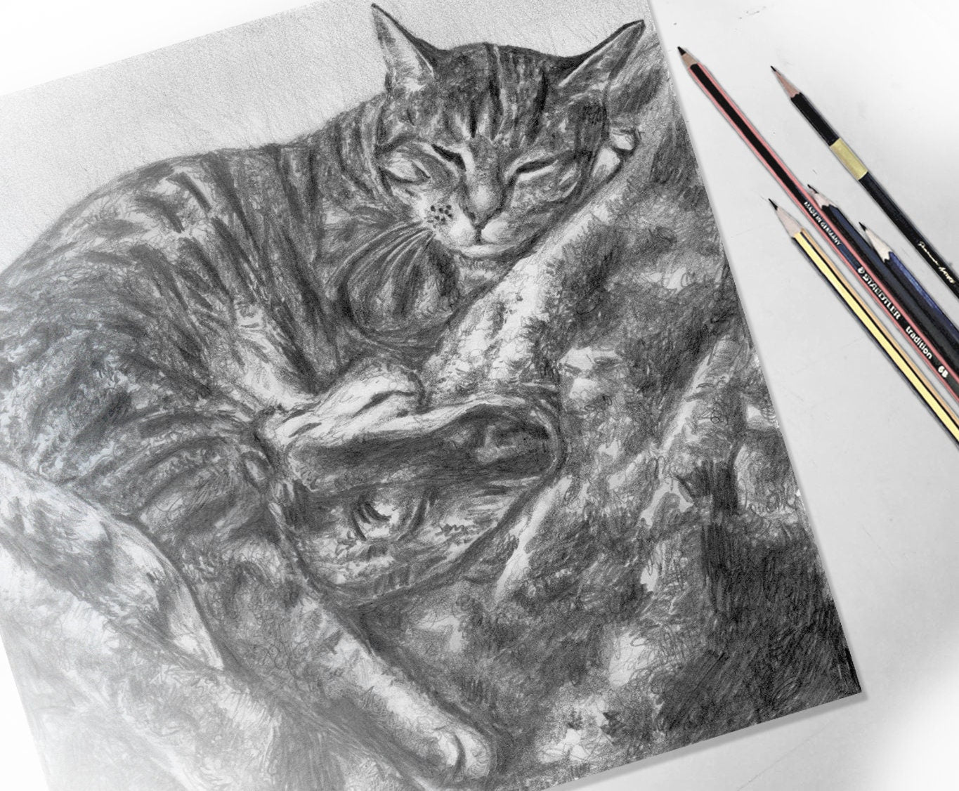 Custom Cat Pencil Sketch, Black & White Graphite Hand Drawing, Personalised Dog Sketch, Pet Memorial, Kitten Wall Art, Gift for Her Him