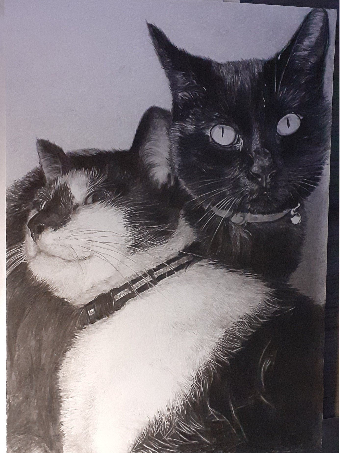 Custom Cat Pencil Sketch, Black & White Graphite Hand Drawing, Personalised Dog Sketch, Pet Memorial, Kitten Wall Art, Gift for Her Him