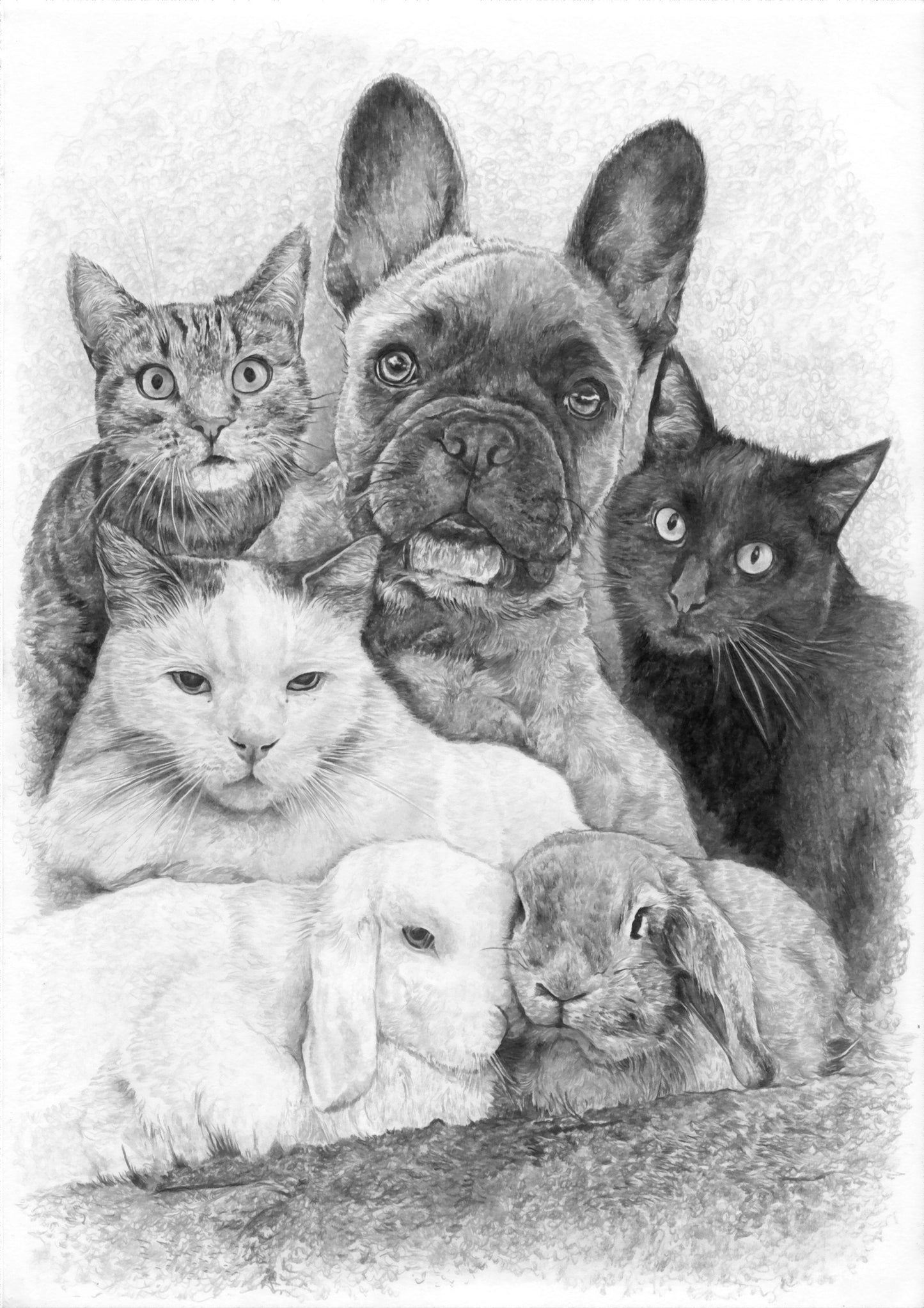 Hand Drawn Dog Pencil Sketch - Hyper realistic professional pet portraits made from your photos. The perfect gift for all animal lovers