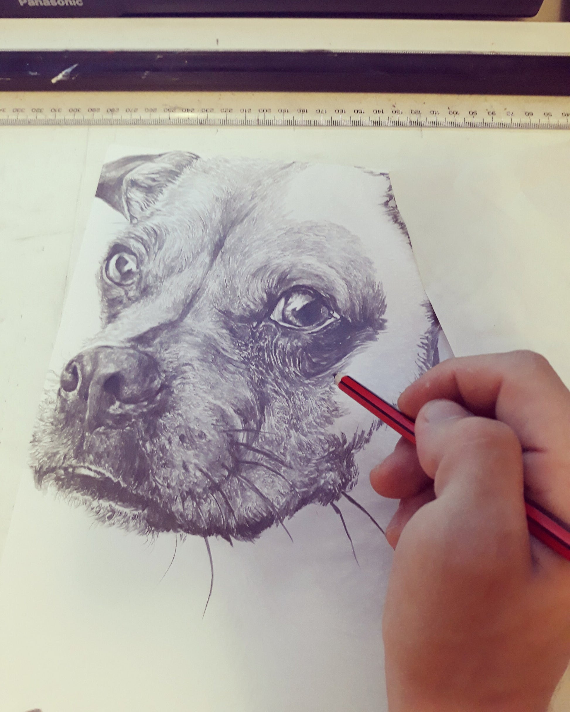 Hand Drawn Dog Pencil Sketch - Hyper realistic professional pet portraits made from your photos. The perfect gift for all animal lovers