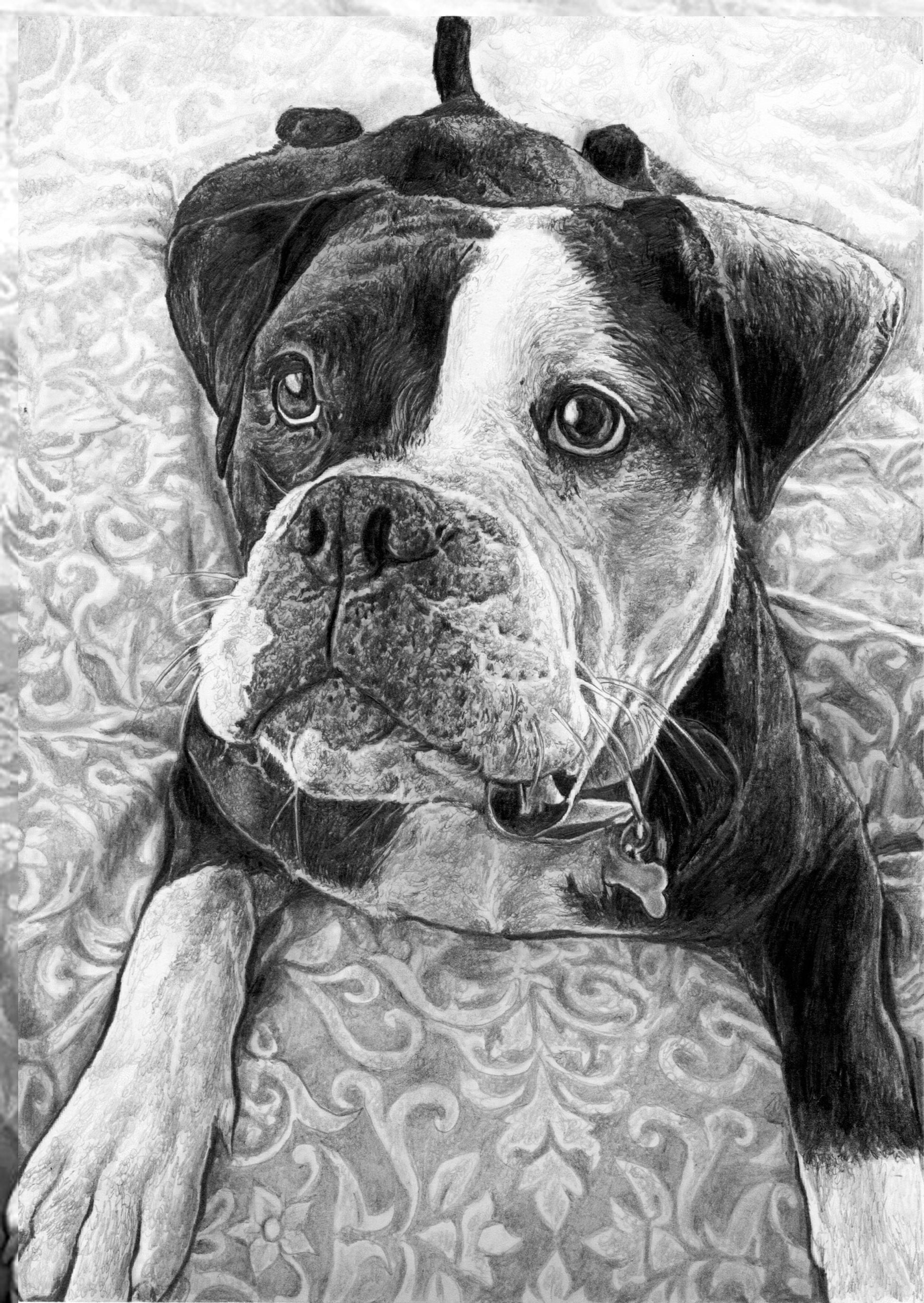 Hand Drawn Dog Pencil Sketch - Hyper realistic professional pet portraits made from your photos. The perfect gift for all animal lovers