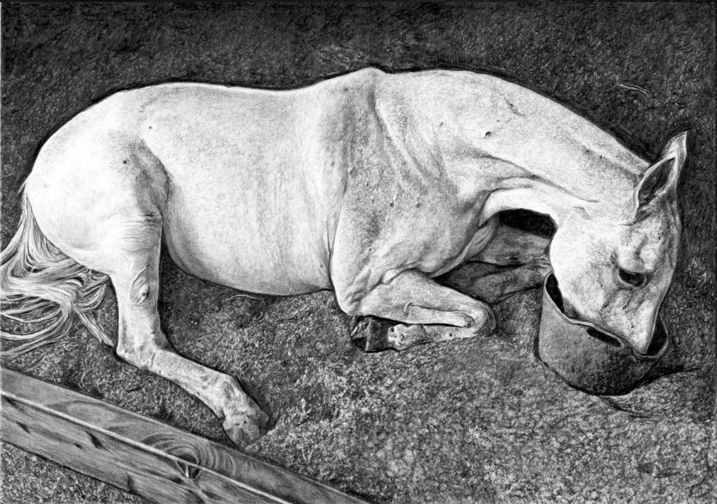 Hand Drawn Dog Pencil Sketch - Hyper realistic professional pet portraits made from your photos. The perfect gift for all animal lovers