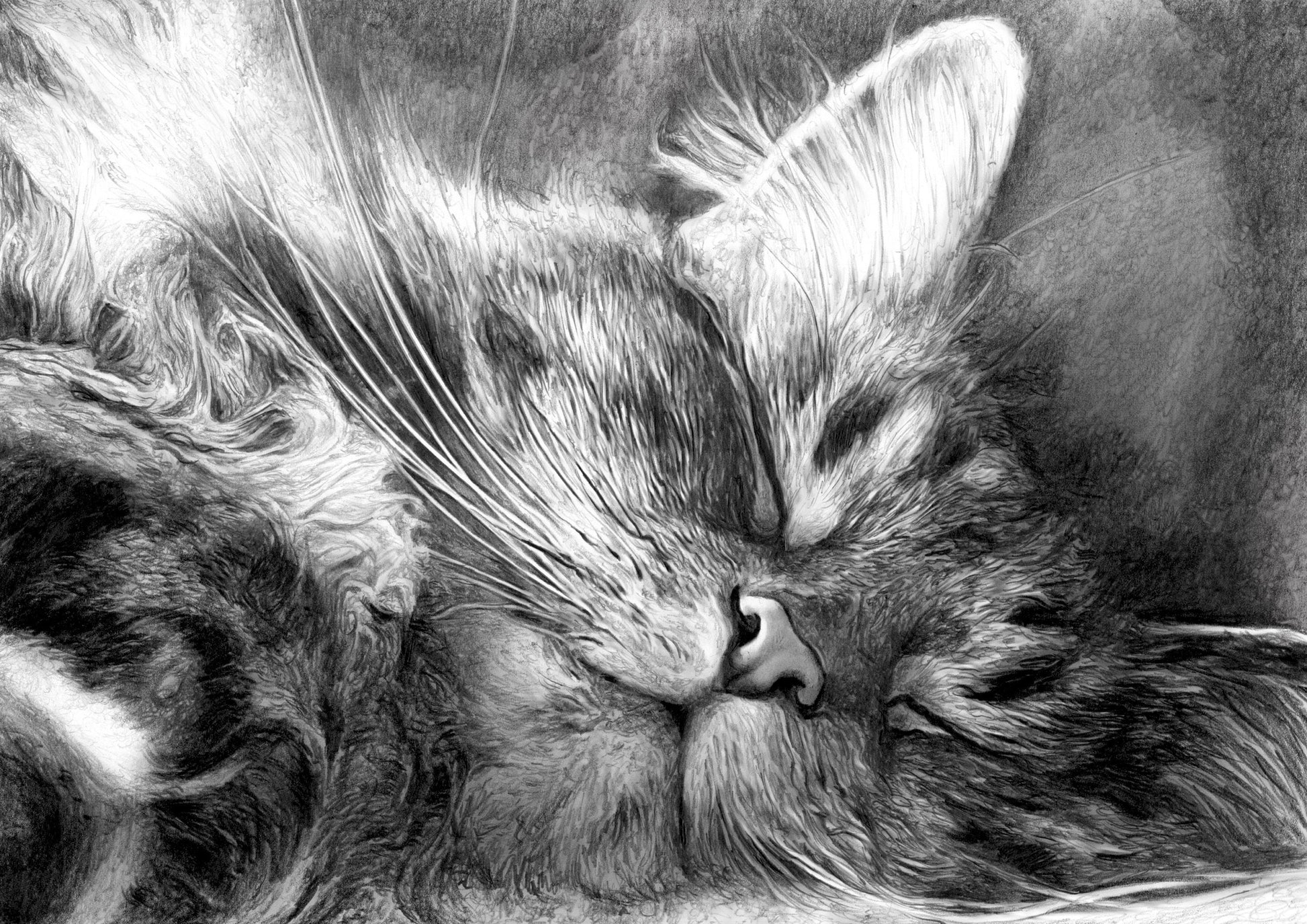Hand Drawn Dog Pencil Sketch - Hyper realistic professional pet portraits made from your photos. The perfect gift for all animal lovers