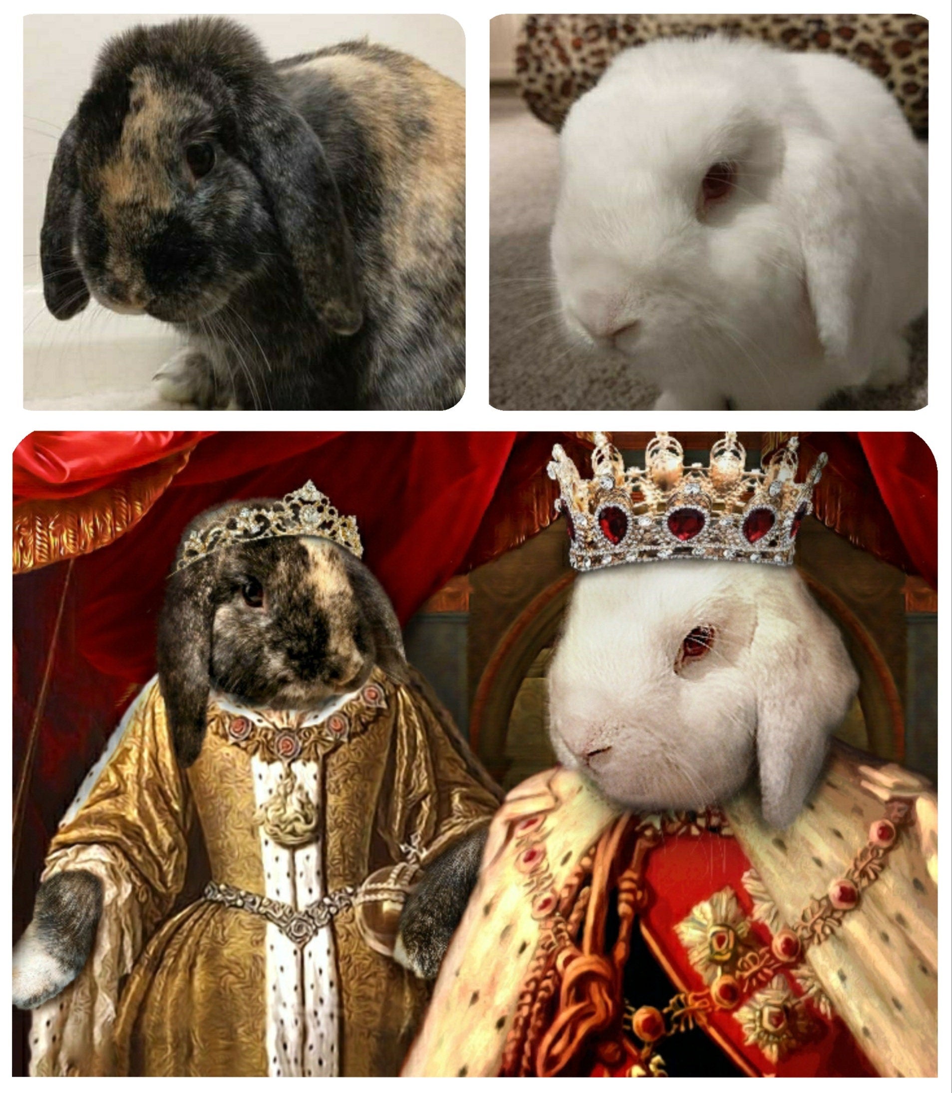 Custom Dog Portrait, Pet Portrait Royal, Renaissance Animal Painting, Funny Pet Lover Gift