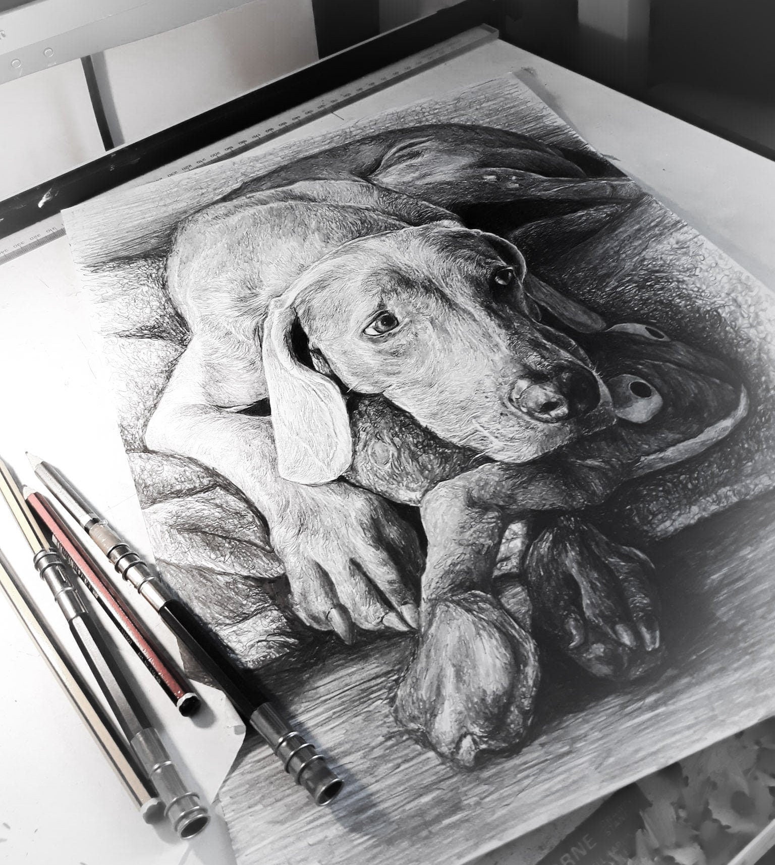 Hand Drawn Dog Pencil Sketch - Hyper realistic professional pet portraits made from your photos. The perfect gift for all animal lovers