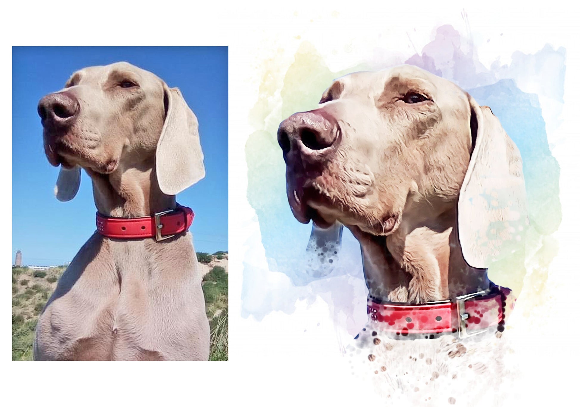 Pet Portrait, Pet Memorial, Custom Pet Portrait, Dog Painting, Custom Dog Portrait, Custom Watercolour, Portrait From Photo, Dog Portrait