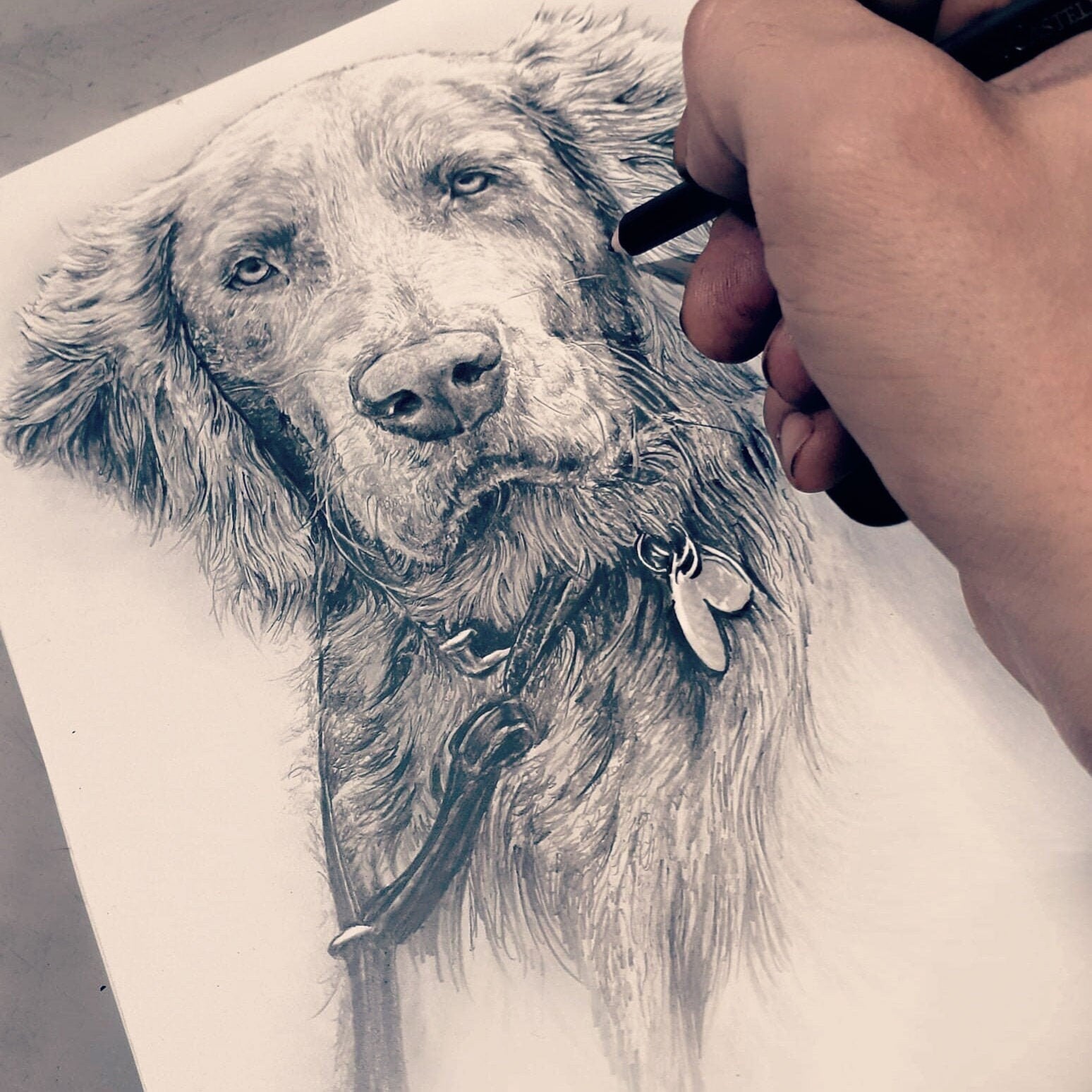 Hand Drawn Dog Pencil Sketch - Hyper realistic professional pet portraits made from your photos. The perfect gift for all animal lovers