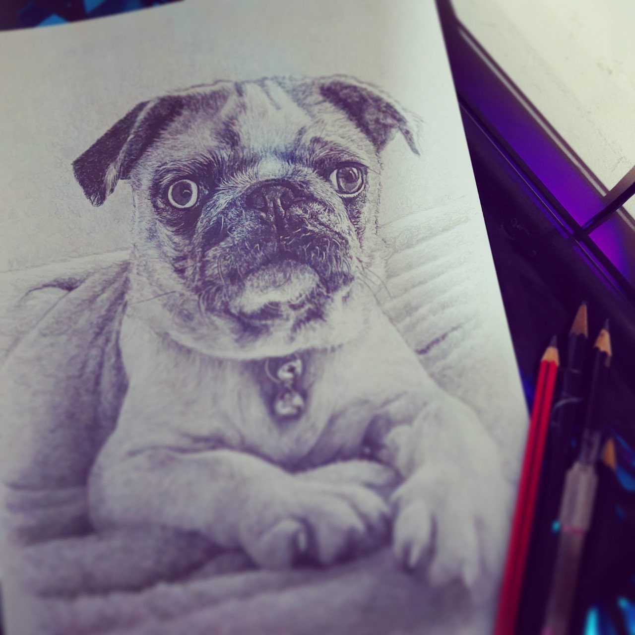 Hand Drawn Dog Pencil Sketch - Hyper realistic professional pet portraits made from your photos. The perfect gift for all animal lovers